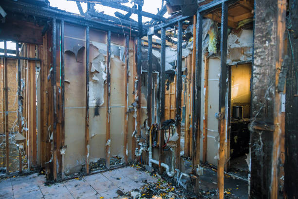 Professional Fire Damage Removal technician working in Trabuco Canyon, CA